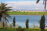 larnaca_17