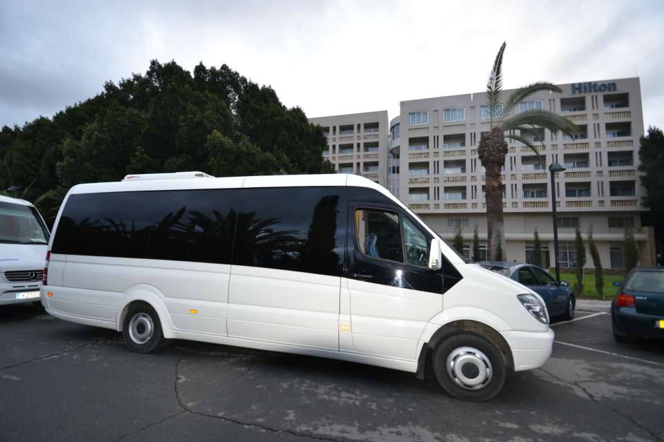 mini_buses2_2